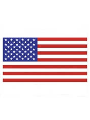 US Flag Medium - United States Country Flags